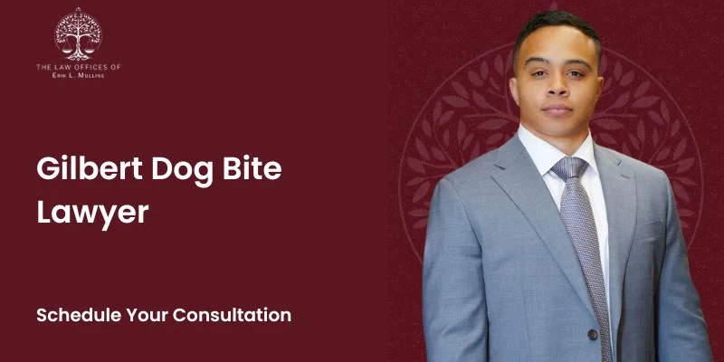 Gilbert Dog Bite Lawyer-image