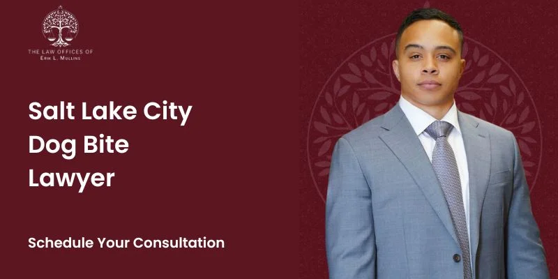 Salt Lake City Dog Bite Lawyer-image